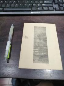 老画片：茂林叠嶂图   宋 巨然
