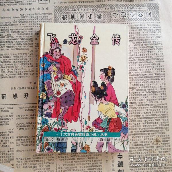 飞龙全传：十大古典英雄传奇小说