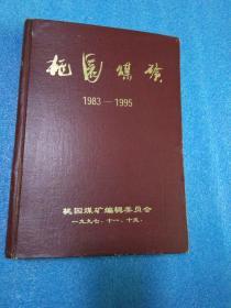 桃园煤矿1983-1995 淮北矿业 桃园煤矿资料1983-1995