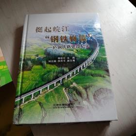 挺起皖江钢铁脊梁--庐铜铁路建设纪实【21------5层】