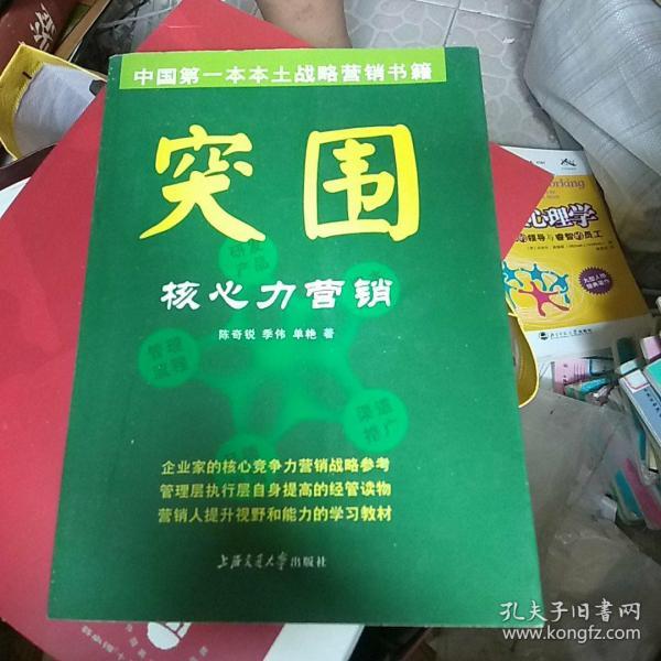 突围：核心力营销