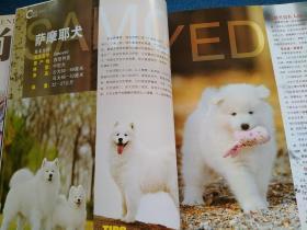 名犬2009年7月号