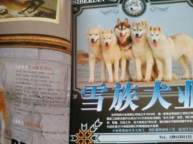 名犬2009年7月号