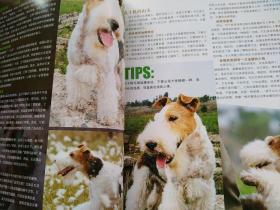 名犬2009年7月号