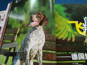 名犬2009年7月号