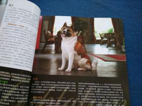 名犬2009年7月号