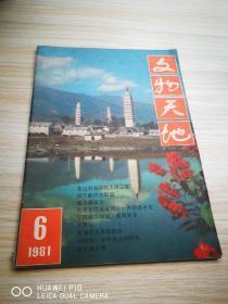 文物天地【1981年第6期】