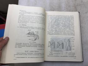 临床解剖学丛书.胸部和脊柱分册