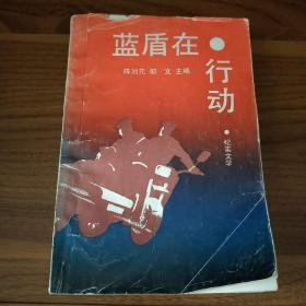 蓝盾在行动-泰山秘闻奇案录 公安 记实文学内行必参阅