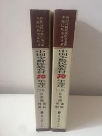 中国少数民族农村30年变迁（上下）