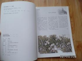 当代中国画名家荟萃：孟微冬作品集（两本不同内容的合售，详见图S）