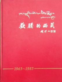 欢腾的西藏1965-1985
