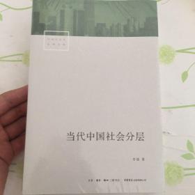 当代中国社会分层