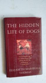 英文原版 THE HIDDEN LIFE OF DOGS 狗的隐秘生活