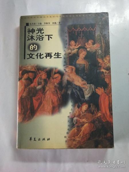 神光沐浴下的文化再生:文明在中世纪的艰难脚步