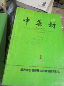 中成药 1994年 1-6期  共6本合售 自己合订本【中医类老期刊】