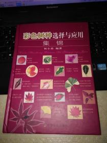 彩色树种选择与应用集锦