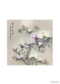 画鸟
