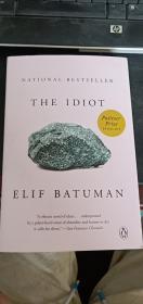 The Idiot: A Novel (English Edition)原版外文