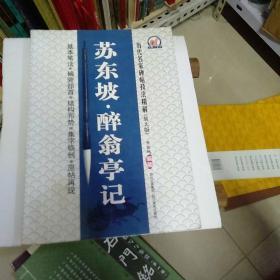 历代名家碑帖技法精解，放大版苏东坡醉翁亭记基本笔法，偏旁部首结构布势，集字临创，原帖在现