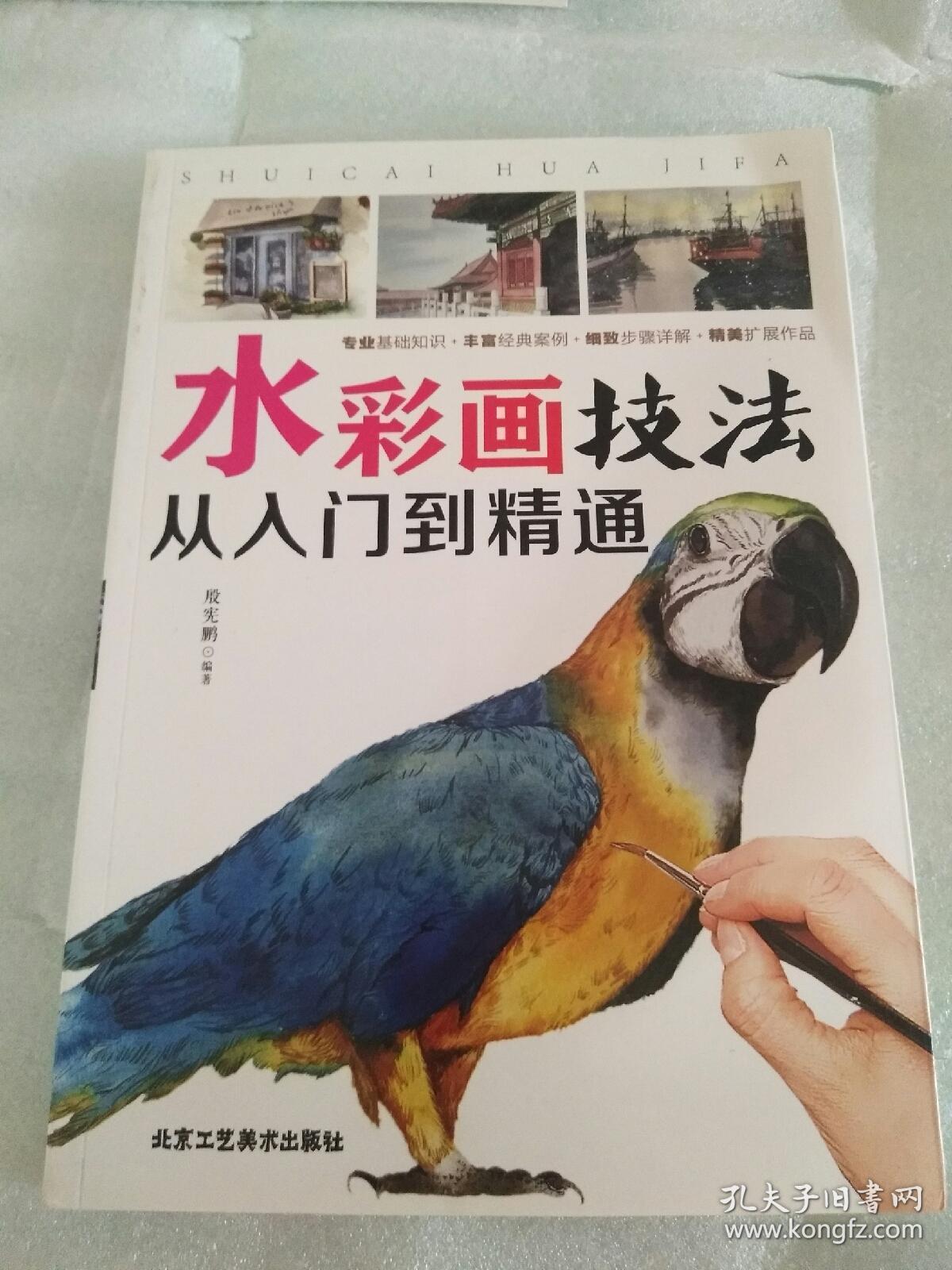 水彩画――从入门到精通    正版图书  几乎是全新的。