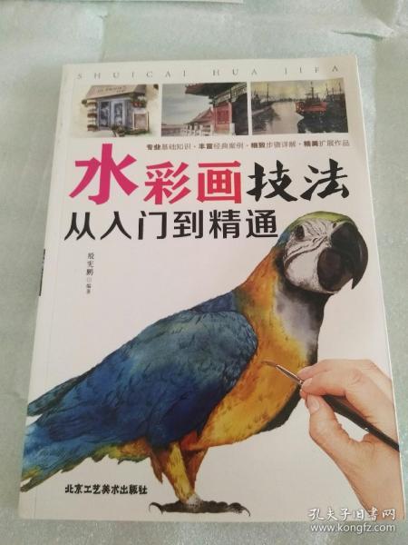 水彩画――从入门到精通    正版图书  几乎是全新的。