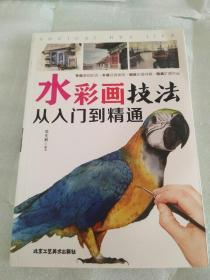 水彩画――从入门到精通    正版图书  几乎是全新的。