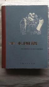 手术图谱