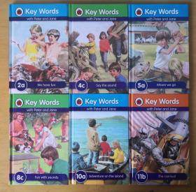 英文原版 硬精装 LadyBirds Key Words with Peter and Jane 15册 瓢虫关键词分级进阶阅读 英文学习经典读物