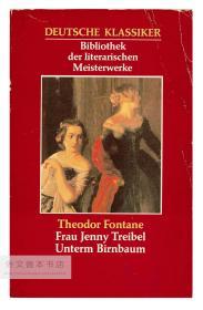 Theodor Fontane: Frau Jenny Teibel - Unterm Birnbaum (Deutsche Klassiker Bibliothek der literarischen Meisterwerke) 德文原版-《特奥多尔·冯塔纳：燕妮·特赖贝尔夫人、在梨树下》（德国经典书系文学名著图书馆）