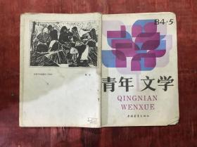 青年文学（1984年第5期，总第17期，小说专号）