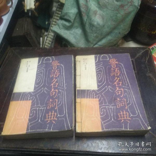 警语名句词典上下册（上册用线打孔）