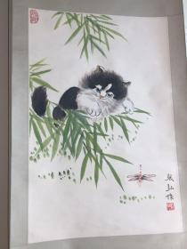 张弘 画猫