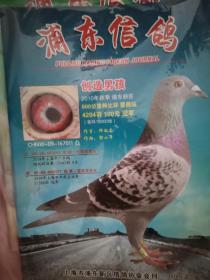 上海信鸽杂志20本