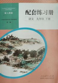 语文 九年级下册 配套练习册 语文 九年级 下册 九下 初三 人民教育出版社 人教版 全新 正版