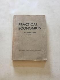 practical economics应用经济学