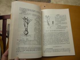 调味品及其应用