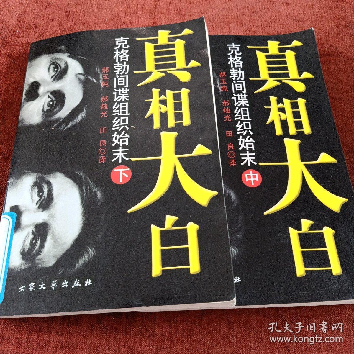 《真相大白 克格勃间谍组织始末》中下册
