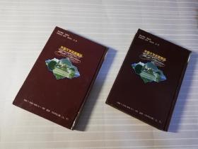 【两册合售】【浙江文艺出版社/外国文学名著精品/精装本】安娜•卡列尼娜（上、下）