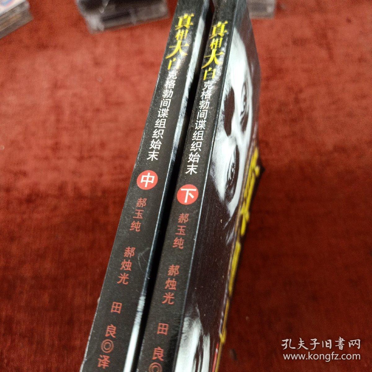 《真相大白 克格勃间谍组织始末》中下册