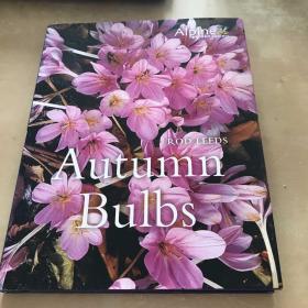 Autumn Bulbs