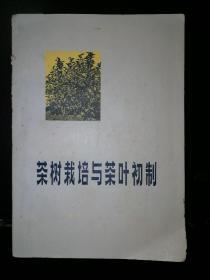 茶树栽培与茶叶初制a2-6