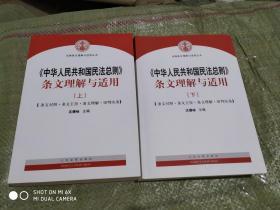 中华人民共和国民法总则 条文理解与适用（套装上下册）