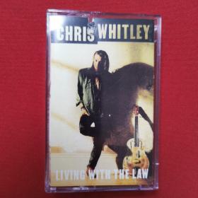 打口磁带：Chris Whitley