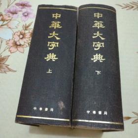 中华大字典(上下)