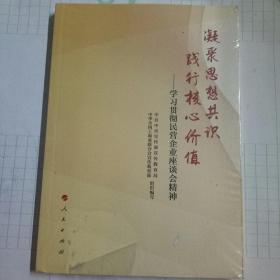 凝聚思想共识 践行核心价值：学习贯彻民营企业座谈会精神