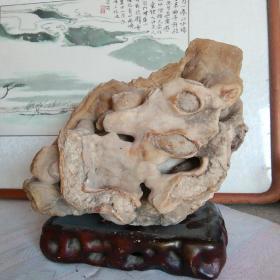 象形石—古代霸王龙（重约9.5千克），可以议价。