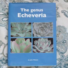 The Genus Echeveria