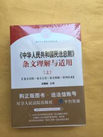 中华人民共和国民法总则 条文理解与适用（套装上下册）