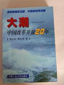 大潮—中国改革开放20年